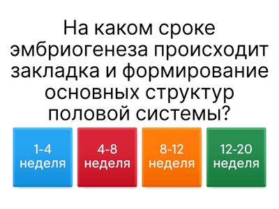 Аномалии развития женской половой системы
