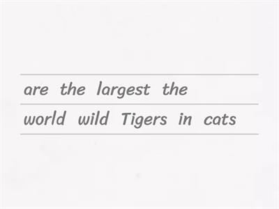 Animal Facts 