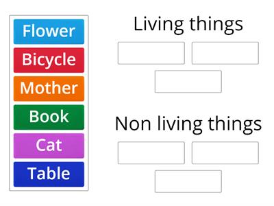 Living and Non living things