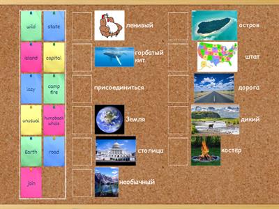 Go Getter (3) 3.5_My Alaskan holiday (1)