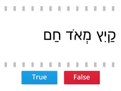 מילים עם חולם