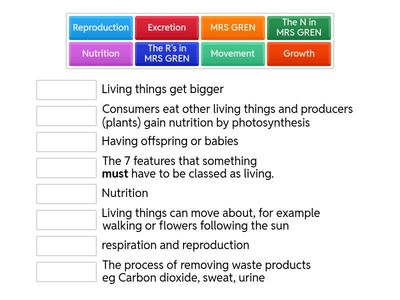 Year 9 Living world MRS GREN revision