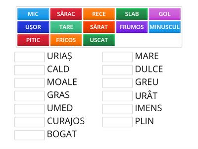 CUVINTE CU SENS OPUS