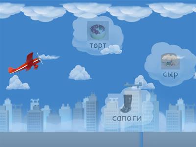 Звук С. Слова