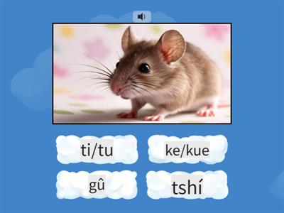 12生肖(聲音v.s. 台羅拼音)