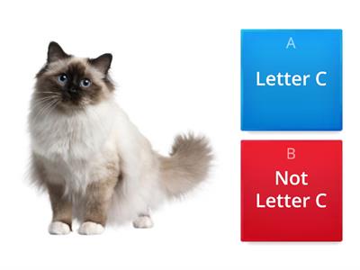 Letter C Sort and Match Quiz