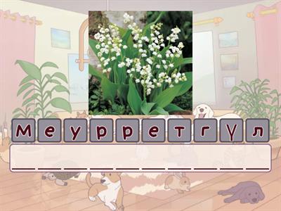 Уретральды катетер бейне