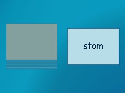 Open Closed Syllable BOOM - nonsense words