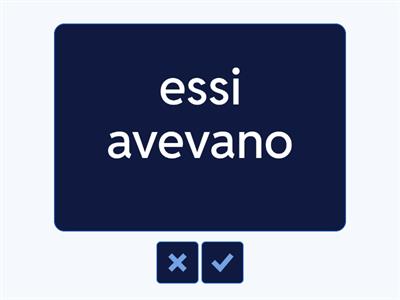 Verbo avere allenamento