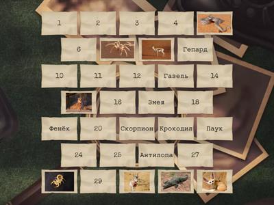 Скорочтение. Египет. Земля фараонов. 1