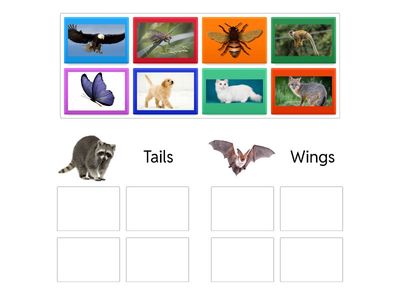 ZyOl Sort by Feature 