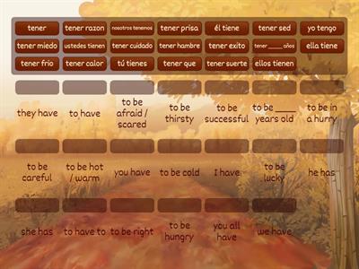 Krause tener / tener expressions 