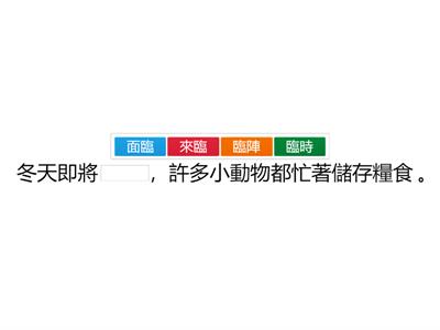 翰林四上國語第11課語詞運用