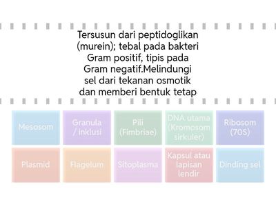 STRUKTUR DAN FUNGSI SEL BAKTERI