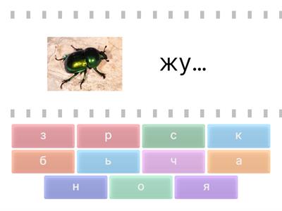 Додай букву, щоб утворилось слово