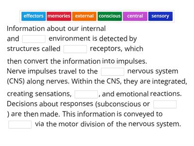 Sensory and Motor Function