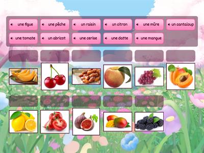 Le vocabulaire des fruits 2