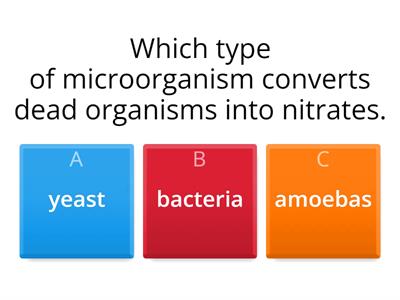 Nitrogen cycle quiz