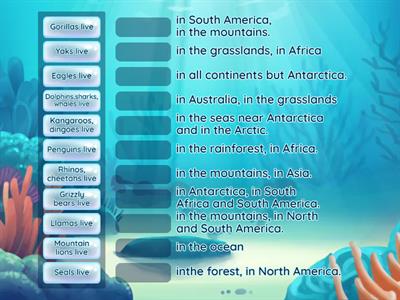 5 Form. Unit 8. Countries and continents. Lesson 3. Ex.1a