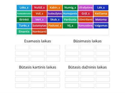 Dalyvių laikai