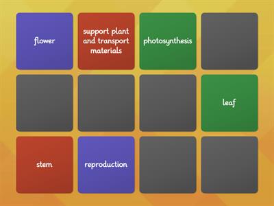 Plant structures and functions