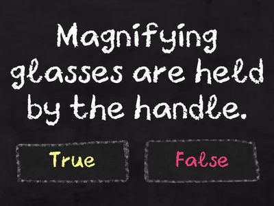 Magnifying Glasses Quiz