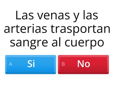 Sistema circulatorio