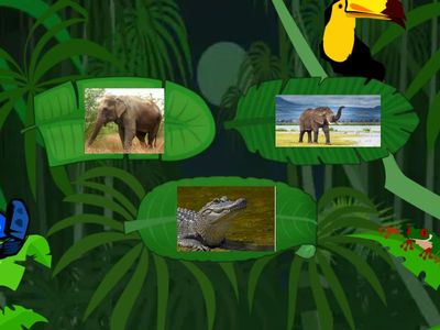 odd one out wild animals