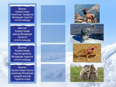 ШҚО жануарлары