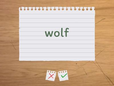 Wild animals-10 Vocabs-2