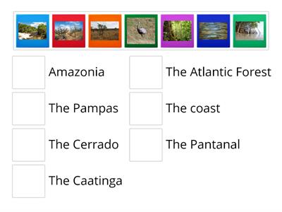 Brazilian Biomes