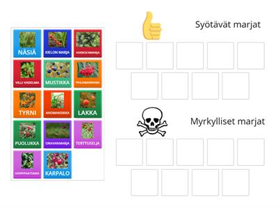 Syötävät ja myrkylliset marjat