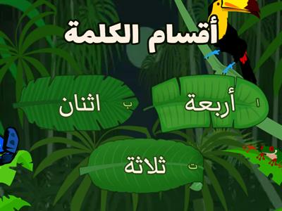 أنواع  الكلمة صف ثالث 