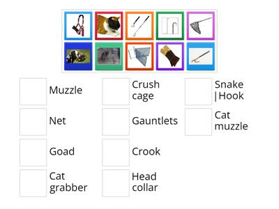 Handling & Restraint