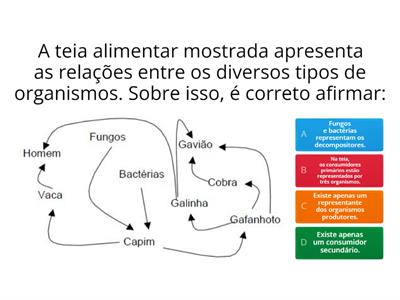 Cadeia e teia alimentar