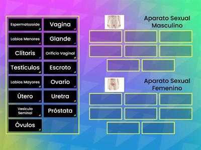 4° grado Aparatos Reproductores