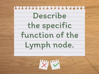 Function of the lymphatic system