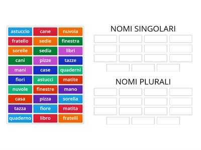 NOMI SINGOLARI E NOMI PLURALI