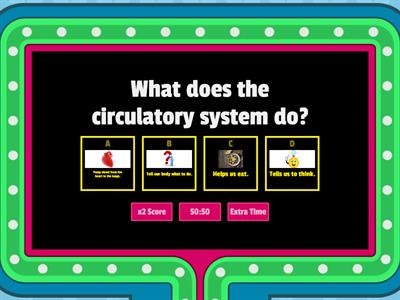 The Circulatory System