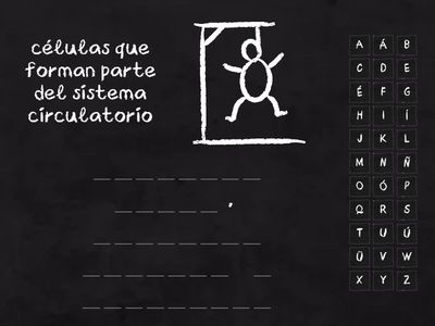 Sistema circulatorio Miss ALe 4to grado