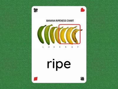 英コミュ I_Lesson 8_Flash card