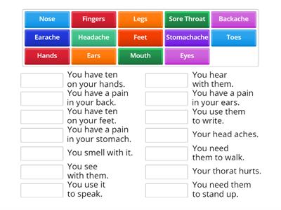 Body Parts and Health Problems Game