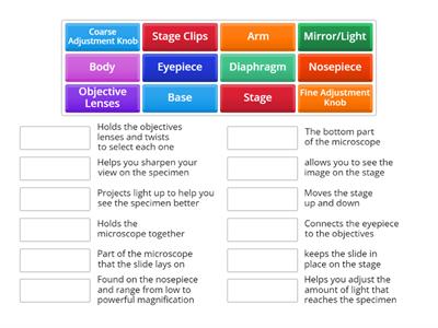 Parts of the Microscope