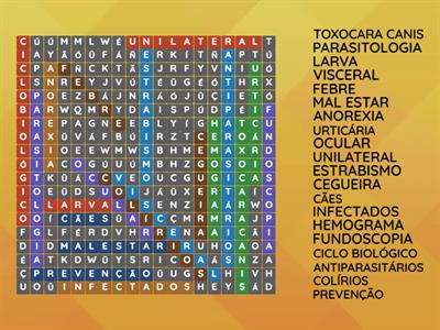 Parasitologia - Toxocara canis