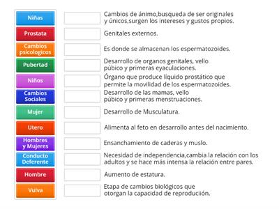 Pubertad y Adolescencia
