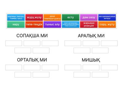 Мен бөлімдері