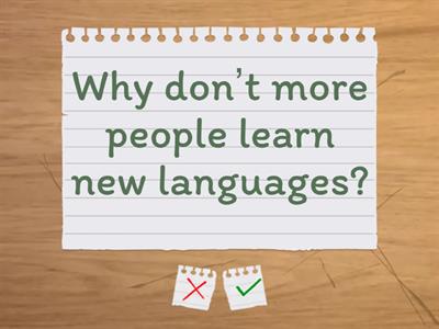 Why / why don't / because