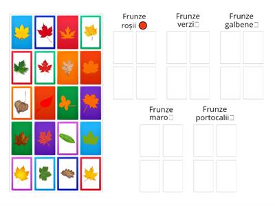 Sorteaza frunzele de toamna dupa culoare