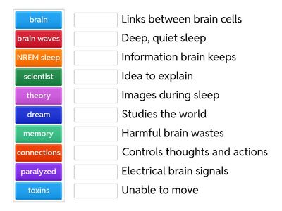 Sleep and Brain Functions: Newsela Article
