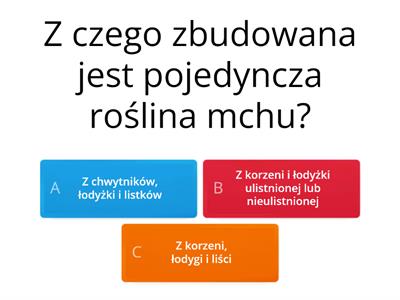 Mchy, paprotniki, rośliny nago i okrytonasienne